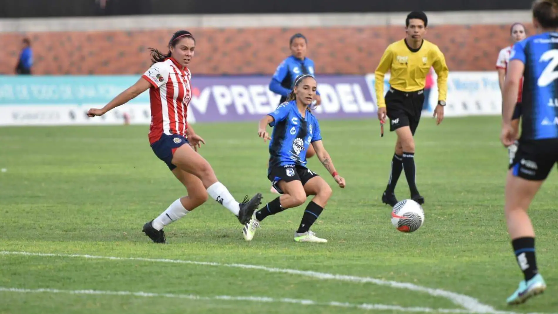 gallos femenil